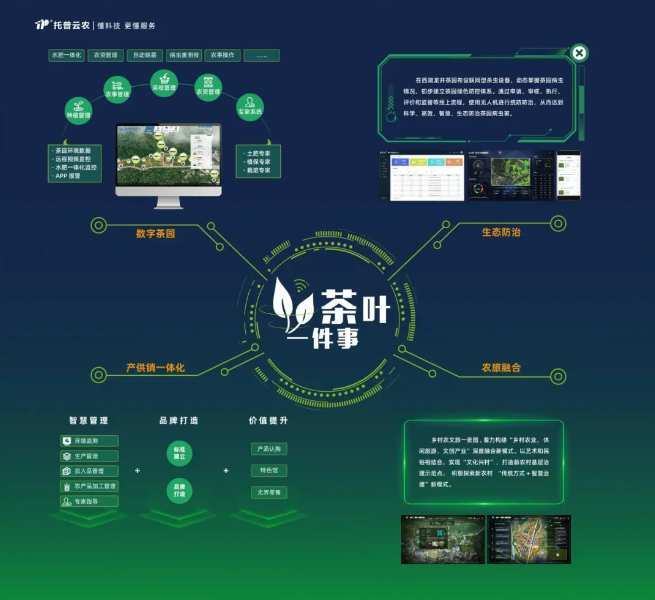 數(shù)字茶園案例 | “數(shù)字”賦能茶產(chǎn)業(yè)，“茶葉一件事”續(xù)寫中國茶發(fā)展新模式