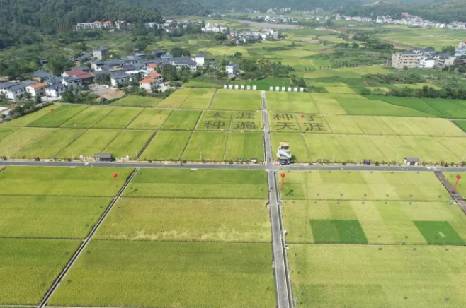 智慧種業(yè)案例 | 湘東：雜交水稻制種之鄉(xiāng)，數(shù)字技術(shù)成為制種新神器！