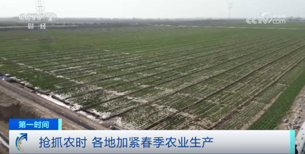 心系糧安、山田無阻、服務(wù)有恒|托普云農(nóng)2025年智能裝備巡檢服務(wù)全面啟動(dòng)