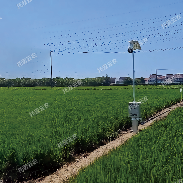 自動(dòng)趕蛾智能統(tǒng)計(jì)桿