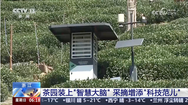 央視、人民網(wǎng)等權(quán)威媒體聚焦西湖龍井：托普云農(nóng)“黑科技”點(diǎn)亮千年茶香智變之路
