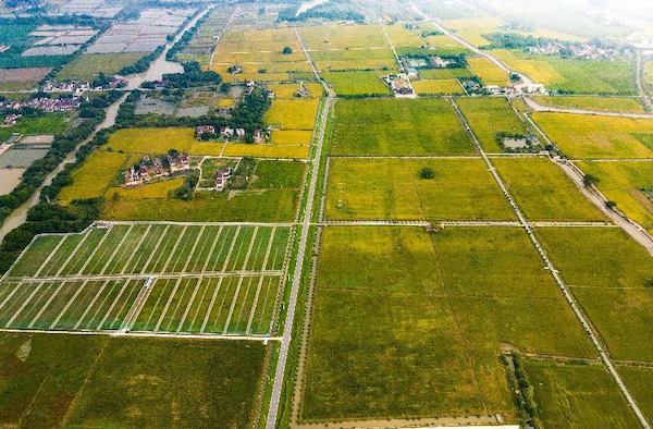 高標(biāo)準(zhǔn)農(nóng)田案例丨托普云農(nóng)助力善璉鎮(zhèn)農(nóng)田“數(shù)智”升級(jí)