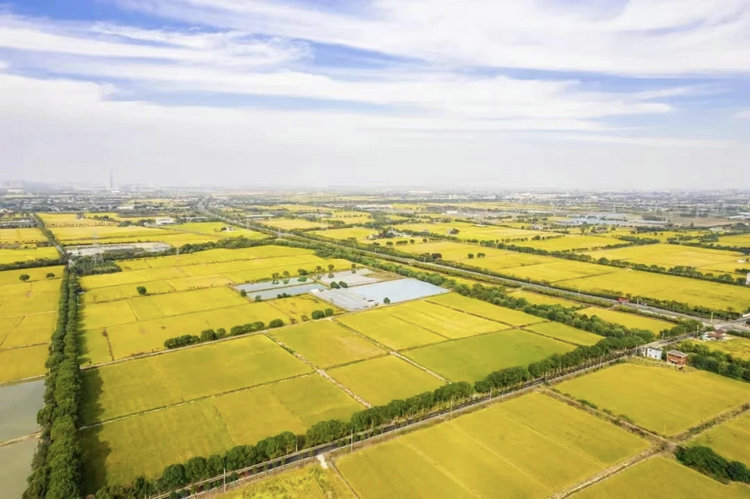 未來農(nóng)場(chǎng)解決方案